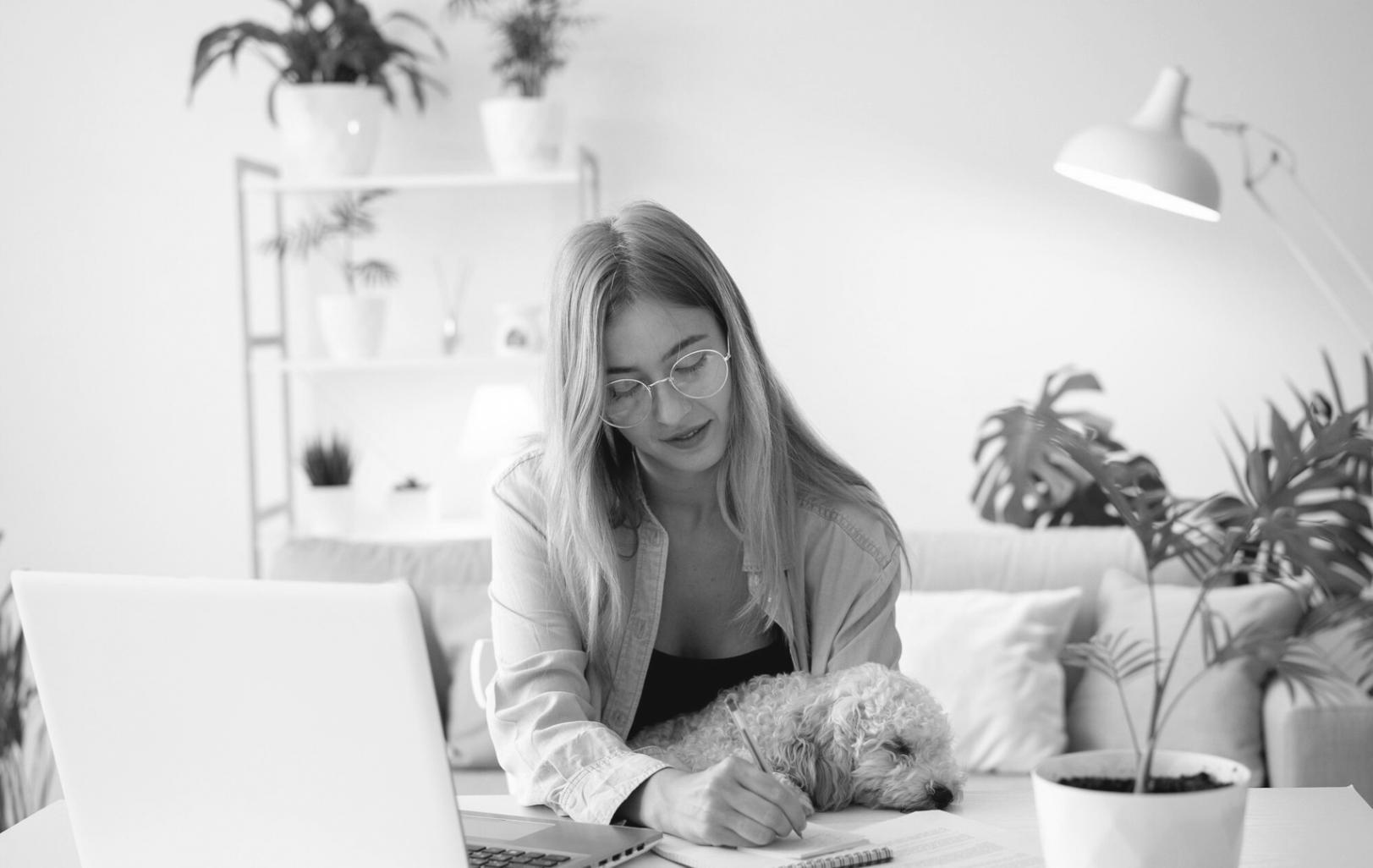 Testing dashboard showing comprehensive coverage metrics and results